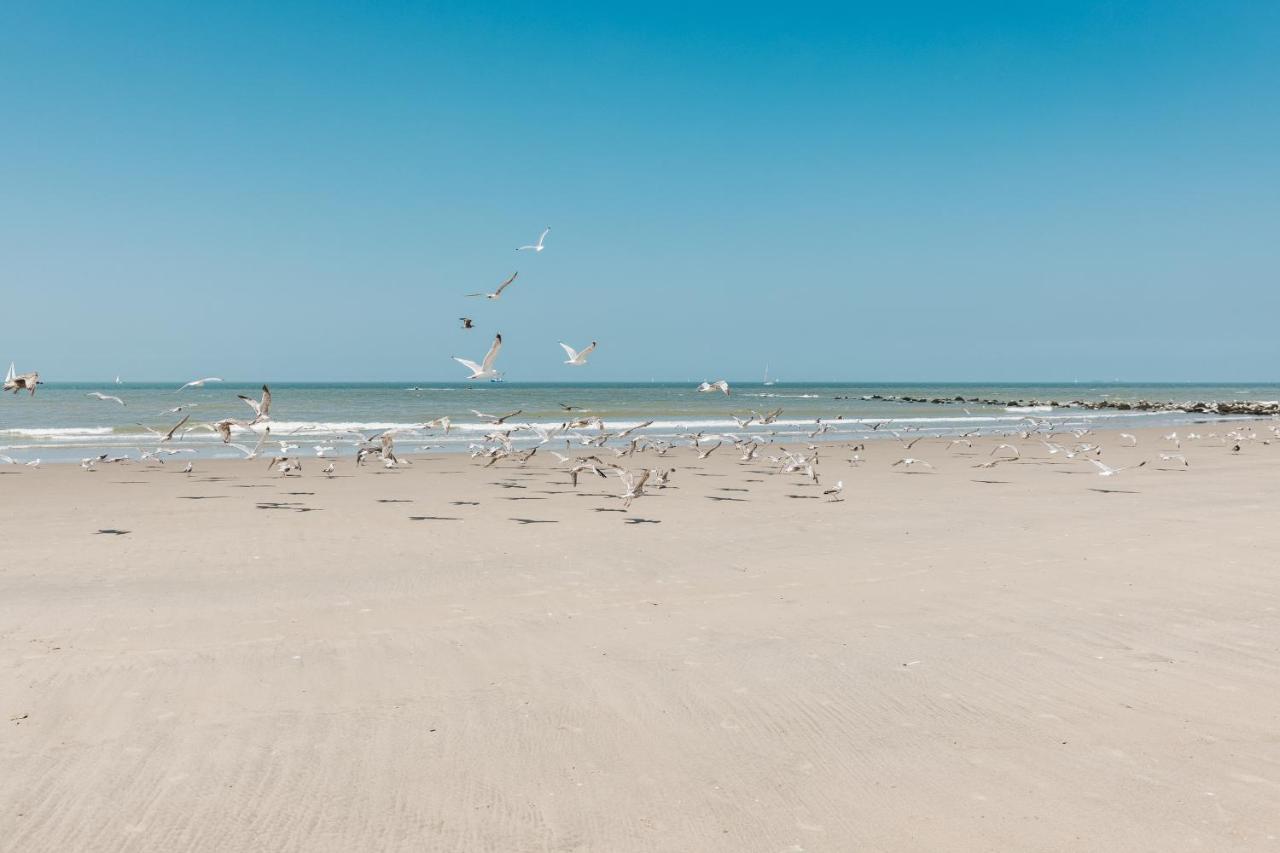 Molo Roof - Stylish Penthouse With Marina View Blankenberge Within Walking Distance From The Sea - 15 Km From Bruges Διαμέρισμα Εξωτερικό φωτογραφία